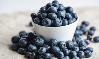 blueberries on white ceramic container