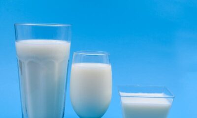 Three types of milk glasses on a blue backdrop, illustrating variety.