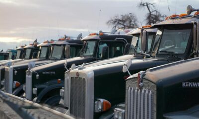 Classic Kenworth trucks lined up outdoors, showcasing heavy-duty retro design.