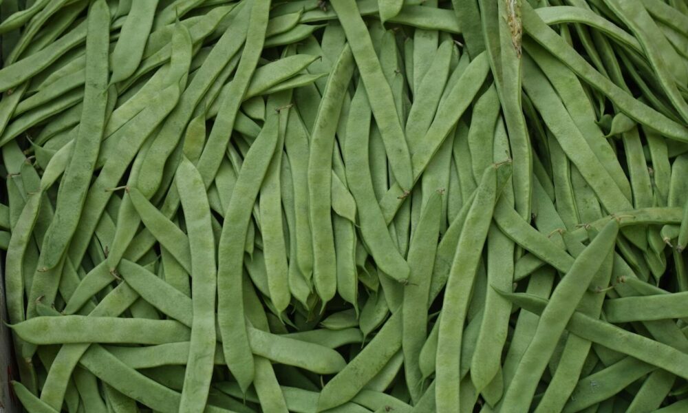 Top view of fresh, nutritious organic green snap beans, perfect for healthy recipes.