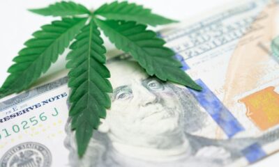 Close-up of a cannabis leaf resting on an American dollar bill, symbolizing the intersection of finance and cannabis culture.