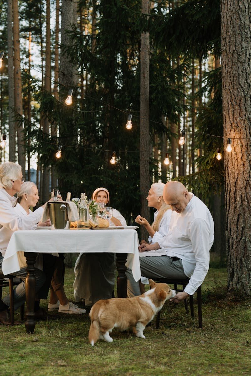 Senior adults enjoying an outdoor meal with a pet corgi under string lights in a forest setting.