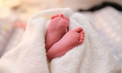 baby covered with white blanket