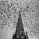 grayscale photo of cathedral under birds
