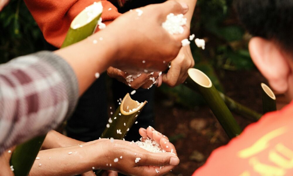Hands holding white grains pouring from bamboo tubes.