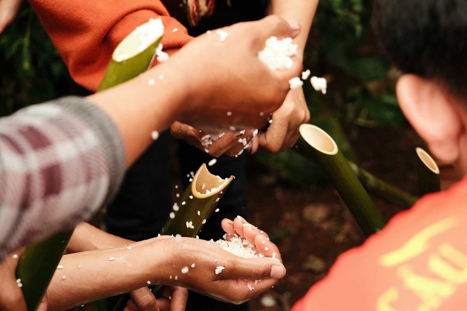 Hands holding white grains pouring from bamboo tubes.