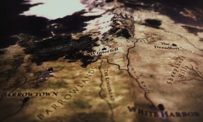 closeup photo of brown map