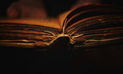 person reading book