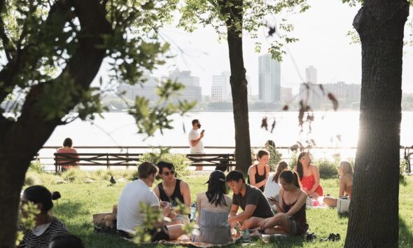 people sitting on green grass field near green trees during daytime