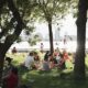people sitting on green grass field near green trees during daytime