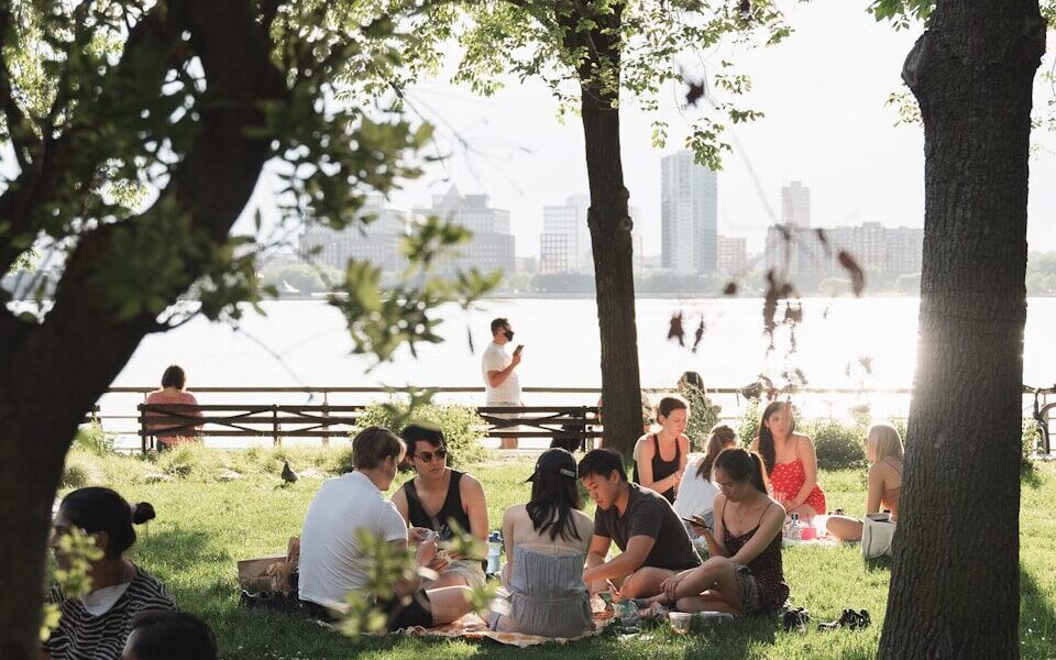 people sitting on green grass field near green trees during daytime
