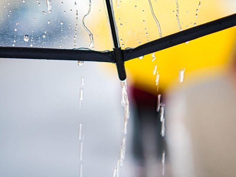 rainy day, umbrella, walk, rain, weather, raindrop, drops, water, rain shower, wet, rainy weather, nature, colour, girl, waterdrop, rainy, texture