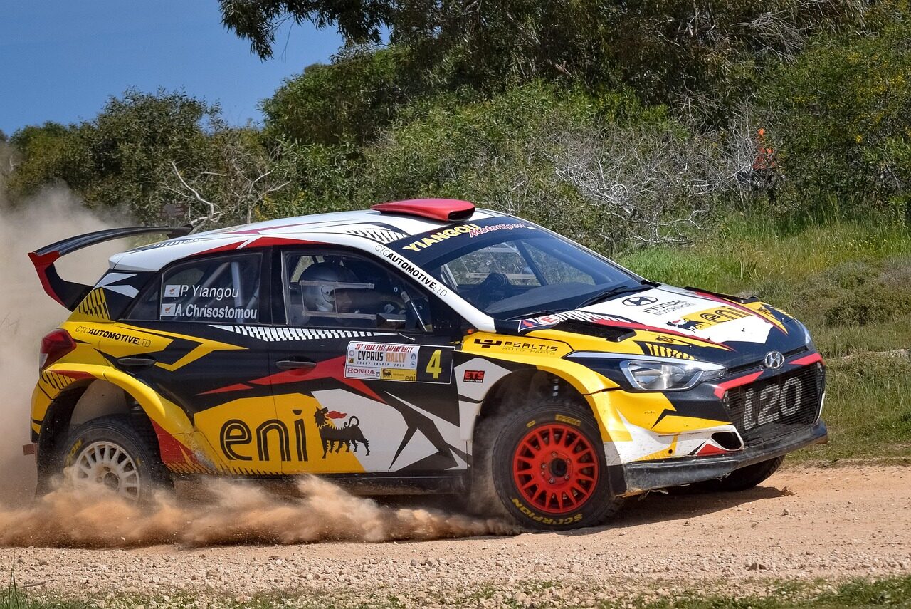 car, race, rally, car wallpapers, racing, auto, automobile, automotive, sport, competition, motorsport, east safari rally, hyundai