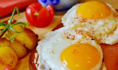 fried egg, egg, meatloaf, mustard, ingredients, roasted potatoes, potatoes, having lunch, meal, homemade, food, enjoy the meal, yummy, tasty, fried eggs, egg yolk, hen's egg, hunger, hungry, fried egg, egg, egg, egg, egg, egg, food