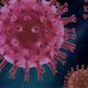 virus, covid, science, covid19, virus, covid, covid, covid, covid, covid