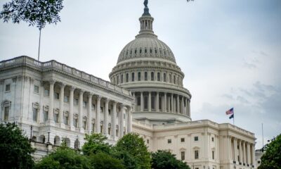 A scenic view of the iconic US Capitol Building symbolizing American democracy in Washington DC.