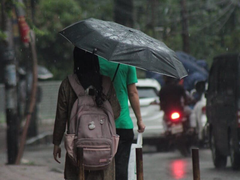 Person walking on a wet street under an umbrella during a rainy day, capturing urban life.