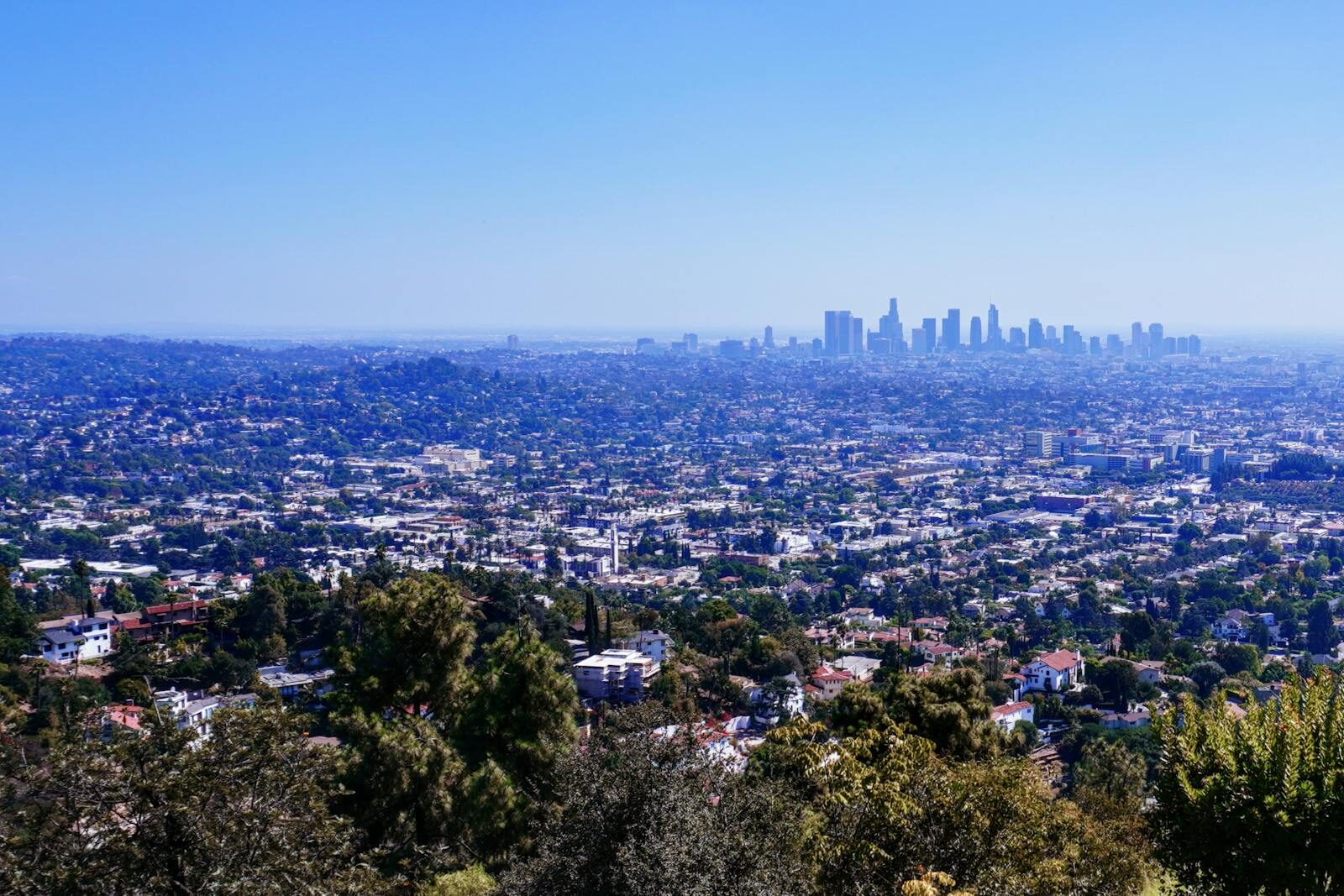 Captivating view of Los Angeles skyline under clear blue skies from a scenic overlook.