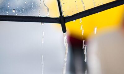 rainy day, umbrella, walk, rain, weather, raindrop, drops, water, rain shower, nature, wet, rainy weather, colour, girl, waterdrop, rainy, texture