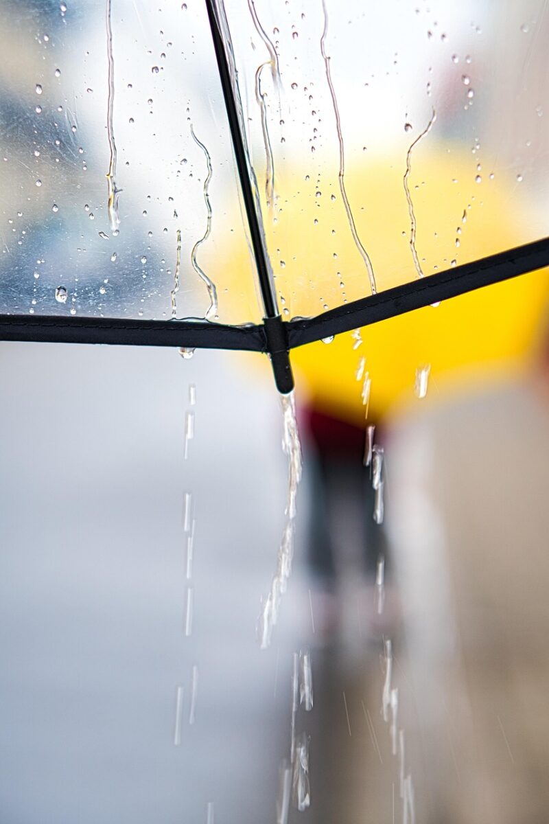 rainy day, umbrella, walk, rain, weather, raindrop, drops, water, rain shower, nature, wet, rainy weather, colour, girl, waterdrop, rainy, texture