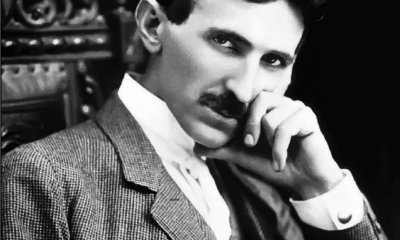 man, nikola tesla, inventor, science, person, celebrity, electricity, famous, nikola tesla, nikola tesla, nikola tesla, nikola tesla, nikola tesla