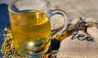tea, tea infuser, cup, glass, infuser, drink, hot drink, beverage, tea cup, mug