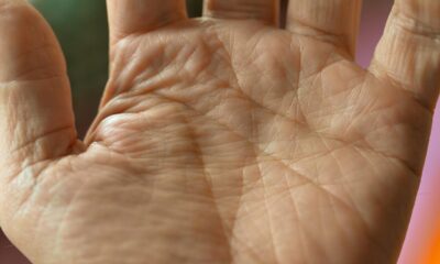 palm, life line, hand, palm reading, human, feel, skin color, palm plate, palm reading, palm reading, palm reading, palm reading, palm reading