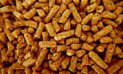 feed, animal nutrition, pellets, pellets, pellets, pellets, pellets, pellets