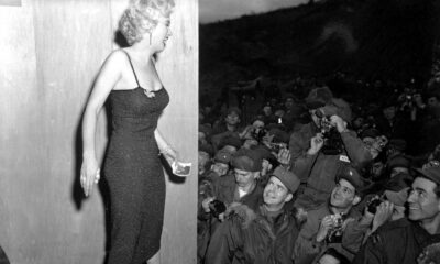 marilyn monroe, celebrity, woman, female, usa, america, beauty, actress, model, marilyn monroe, marilyn monroe, marilyn monroe, marilyn monroe, marilyn monroe