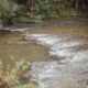 A tranquil river flows gently beside lush green vegetation, creating a serene landscape.