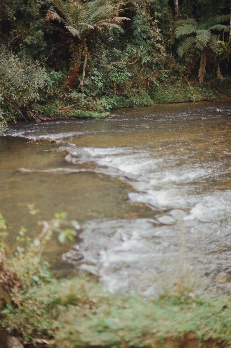 A tranquil river flows gently beside lush green vegetation, creating a serene landscape.