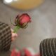 A close-up of a hand holding a single red rosebud indoors, perfect for romance themes.