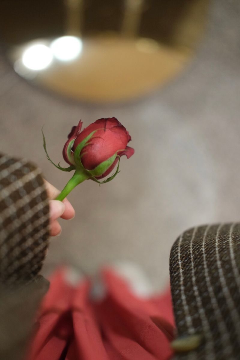 A close-up of a hand holding a single red rosebud indoors, perfect for romance themes.