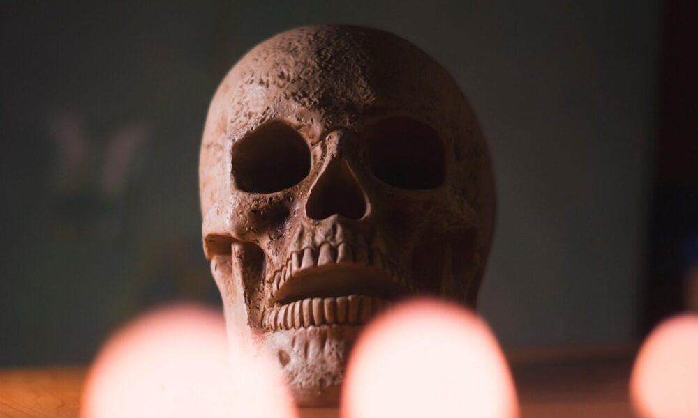 skull, head, halloween, skeleton, bone, scary, creepy, gothic, dark