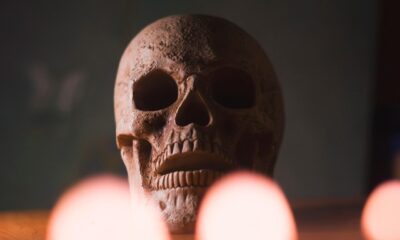 skull, head, halloween, skeleton, bone, scary, creepy, gothic, dark