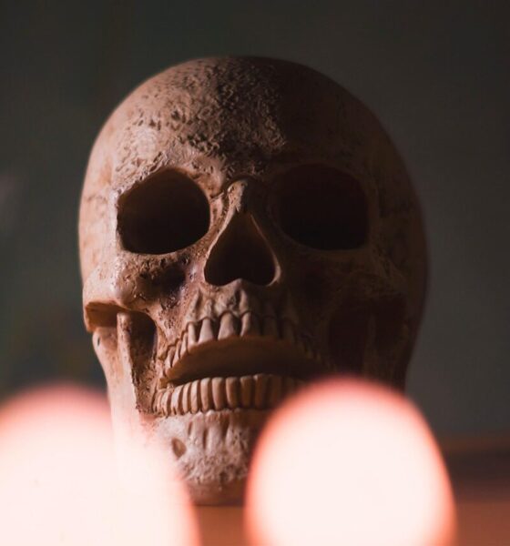 skull, head, halloween, skeleton, bone, scary, creepy, gothic, dark