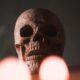 skull, head, halloween, skeleton, bone, scary, creepy, gothic, dark