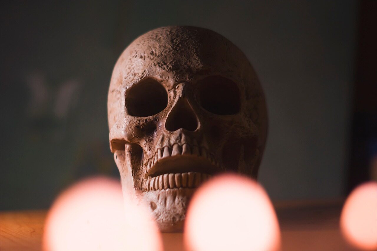 skull, head, halloween, skeleton, bone, scary, creepy, gothic, dark