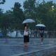 A woman walking with an umbrella during a rainy day, capturing mood and motion.