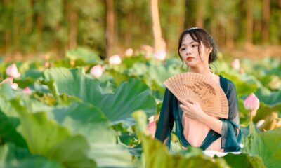 woman, nature, model, flower background, flowers, lotus flowers, beautiful flowers, fan, pond, flower wallpaper, bloom, style