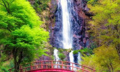 waterfall, bridge, trees, woods, forest, spring, japan, long exposure, gohou waterfalls, yaotsu, water, travel, vacation, holiday, nature, travel, travel, travel, travel, travel