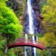 waterfall, bridge, trees, woods, forest, spring, japan, long exposure, gohou waterfalls, yaotsu, water, travel, vacation, holiday, nature, travel, travel, travel, travel, travel