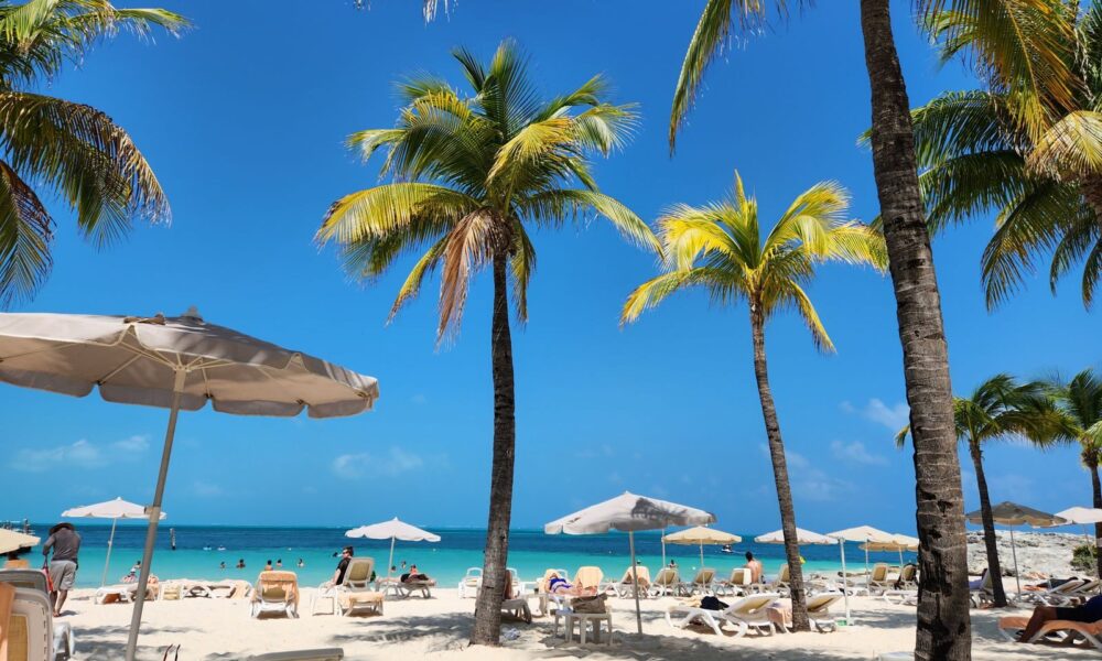 Idyllic beach scene with palm trees and sun loungers under clear blue sky, perfect for relaxation.