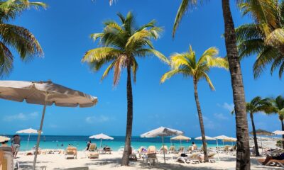Idyllic beach scene with palm trees and sun loungers under clear blue sky, perfect for relaxation.