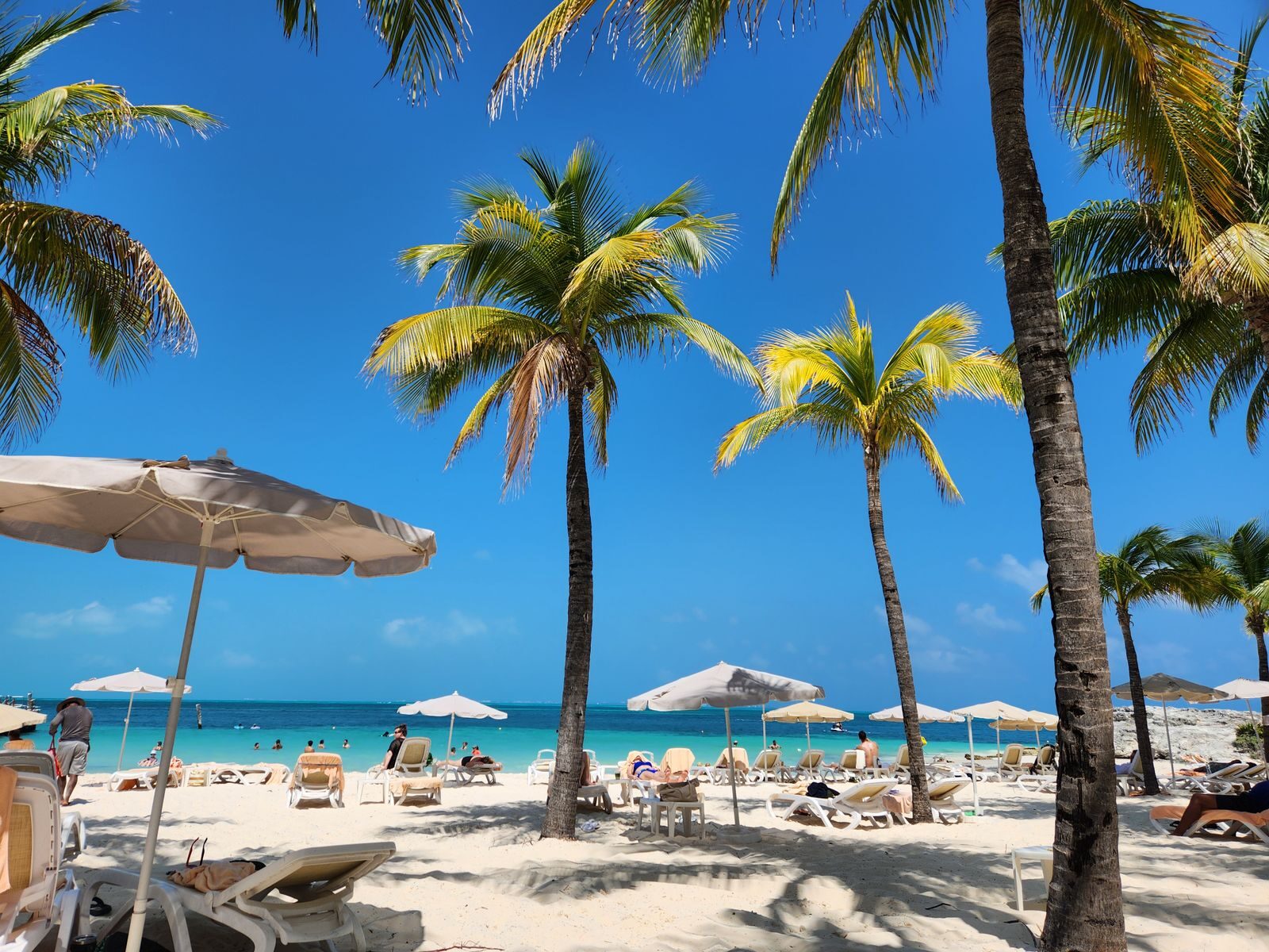 Idyllic beach scene with palm trees and sun loungers under clear blue sky, perfect for relaxation.