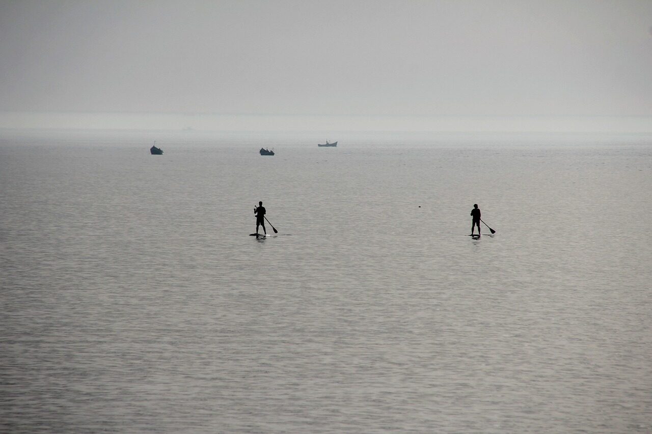 sea, water, sup, nature, stand up paddeling, by the sea