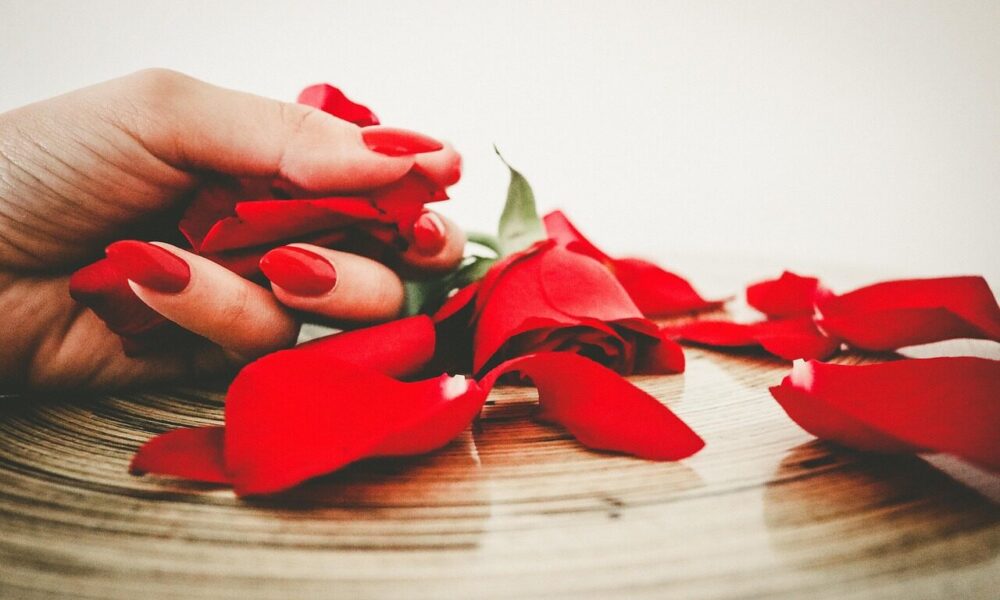 red, nails, fashion, rose flower, flower background, flower wallpaper, manicure, nails manicure, woman, makeup, glamour, polish, color, nail polish, nature, make-up, beautiful flowers, rose, flowers, petals, elegance, bright