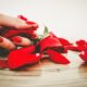 red, nails, fashion, rose flower, flower background, flower wallpaper, manicure, nails manicure, woman, makeup, glamour, polish, color, nail polish, nature, make-up, beautiful flowers, rose, flowers, petals, elegance, bright
