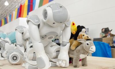 humanoidni roboti prvi put izveli dve hirurške operacije na životinjama – humanoidni roboti hirurške operacije