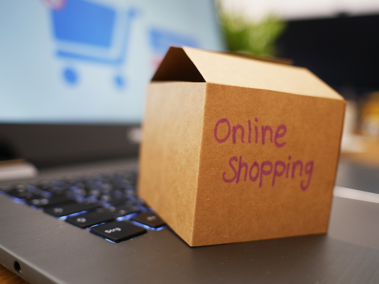 Najbolji Amazon proizvodi koje treba odmah dodati u korpu – najbolji Amazon proizvodi koje treba kupiti odmah